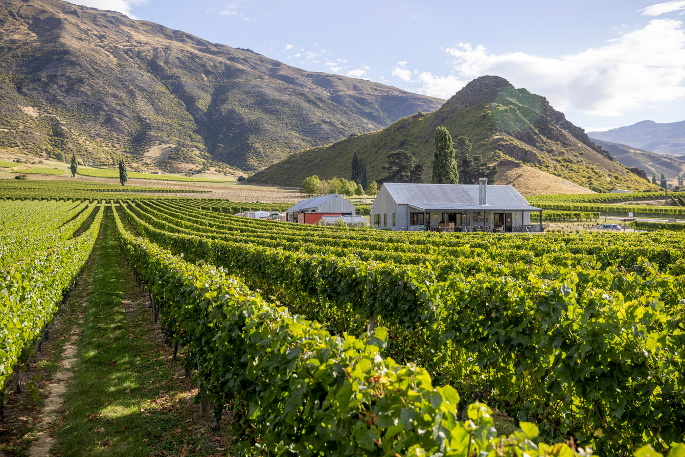 View of Mt Rosa Cellar Door in Gibbston